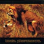 Boole - Everyday Is Halloween